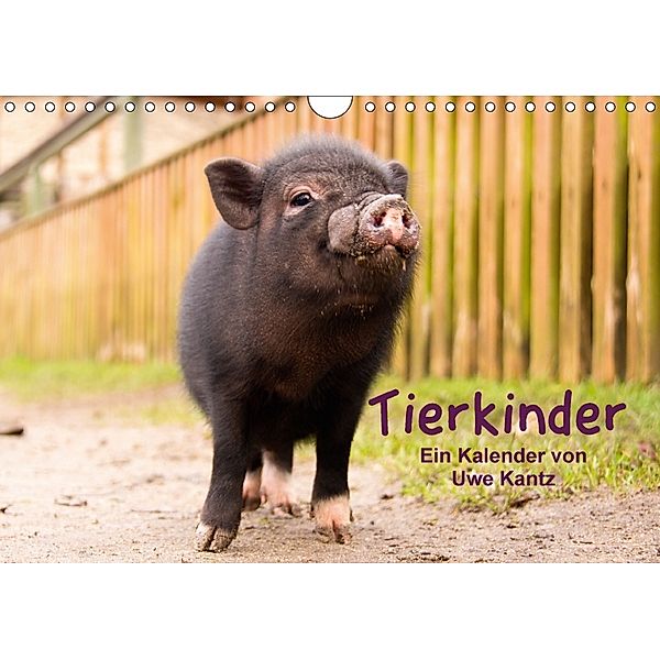 Tierkinder (Wandkalender 2018 DIN A4 quer), Uwe Kantz