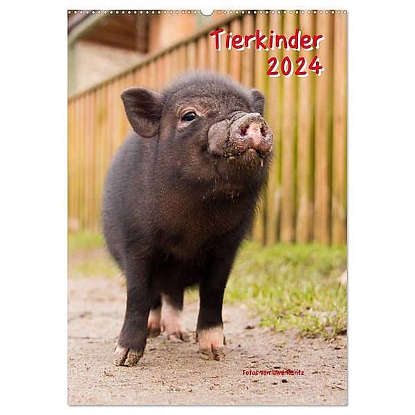 Tierkinder (Wandkalender 2024 DIN A2 hoch), CALVENDO Monatskalender, Uwe Kantz