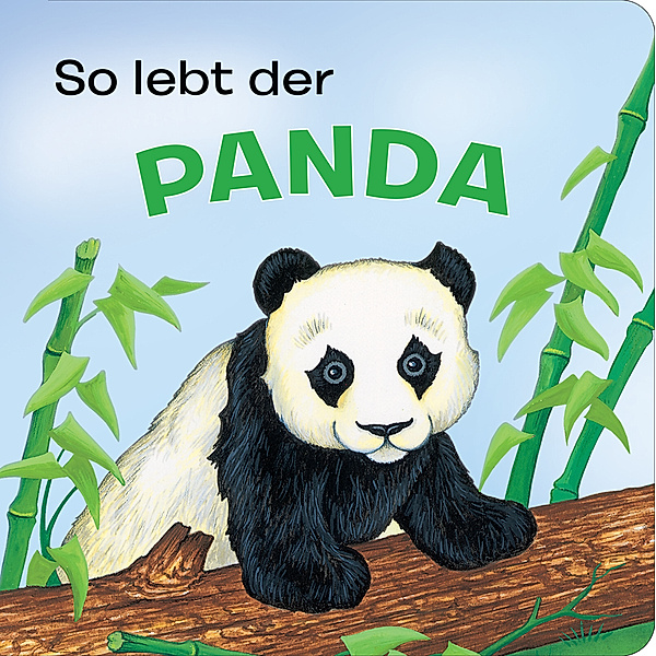 Tierkindergeschichten - So lebt der Panda - Pappbilderbuch mit farbigen Illustrationen für Kinder ab 18 Monaten