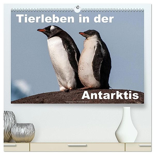 Tierleben in der Antarktis (hochwertiger Premium Wandkalender 2024 DIN A2 quer), Kunstdruck in Hochglanz, Jürgen Wöhlke