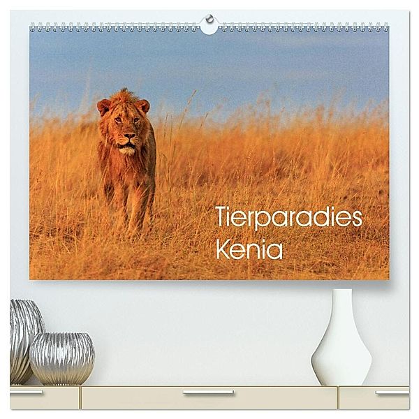 Tierparadies Kenia (hochwertiger Premium Wandkalender 2024 DIN A2 quer), Kunstdruck in Hochglanz, David Oberholzer