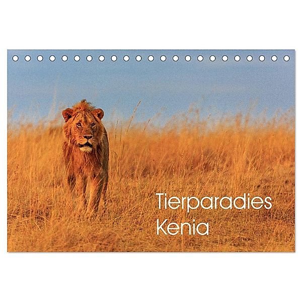 Tierparadies Kenia (Tischkalender 2025 DIN A5 quer), CALVENDO Monatskalender, Calvendo, David Oberholzer