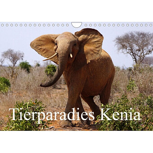 Tierparadies Kenia (Wandkalender 2022 DIN A4 quer), Erika Müller