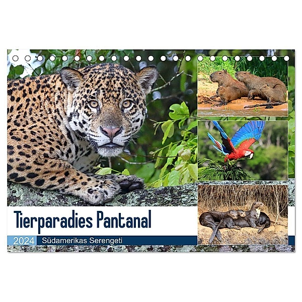 Tierparadies Pantanal (Tischkalender 2024 DIN A5 quer), CALVENDO Monatskalender, Michael und Yvonne Herzog