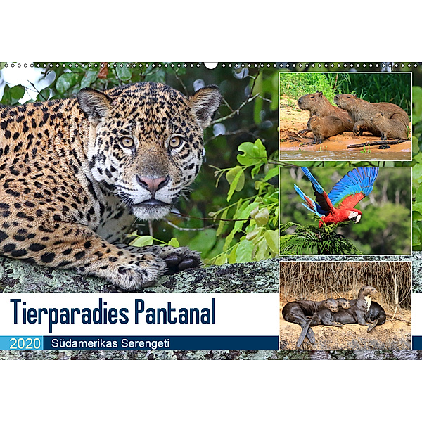 Tierparadies Pantanal (Wandkalender 2020 DIN A2 quer), Michael Herzog