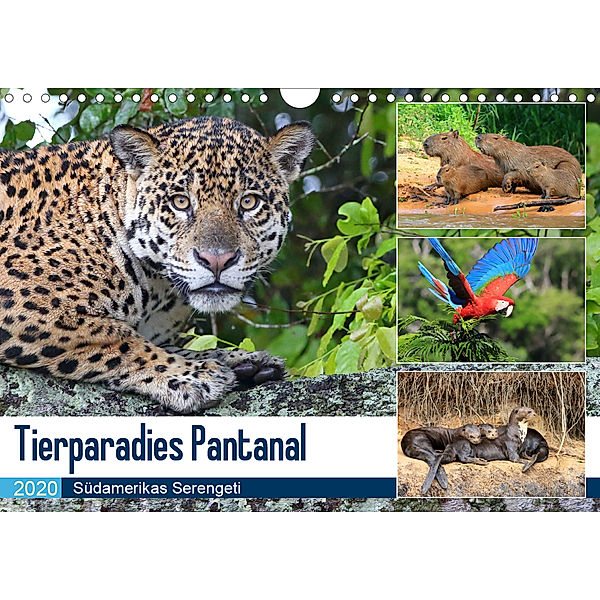 Tierparadies Pantanal (Wandkalender 2020 DIN A4 quer), Michael Herzog