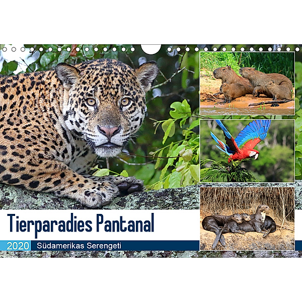 Tierparadies Pantanal (Wandkalender 2020 DIN A4 quer), Michael Herzog