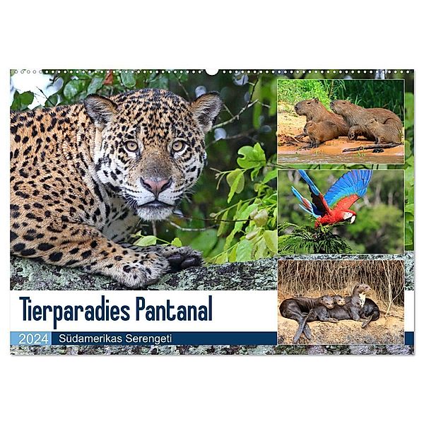 Tierparadies Pantanal (Wandkalender 2024 DIN A2 quer), CALVENDO Monatskalender, Michael und Yvonne Herzog