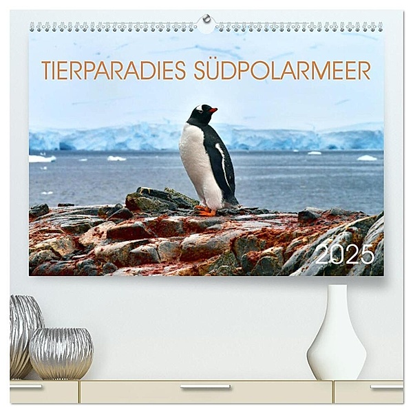 Tierparadies Südpolarmeer (hochwertiger Premium Wandkalender 2025 DIN A2 quer), Kunstdruck in Hochglanz, Calvendo, Manfred Bergermann