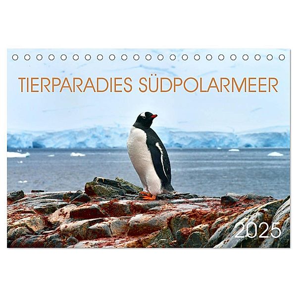 Tierparadies Südpolarmeer (Tischkalender 2025 DIN A5 quer), CALVENDO Monatskalender, Calvendo, Manfred Bergermann