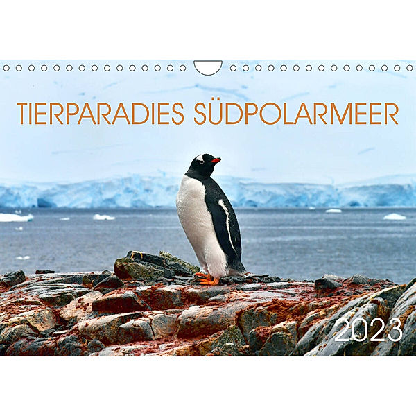 Tierparadies Südpolarmeer (Wandkalender 2023 DIN A4 quer), Manfred Bergermann