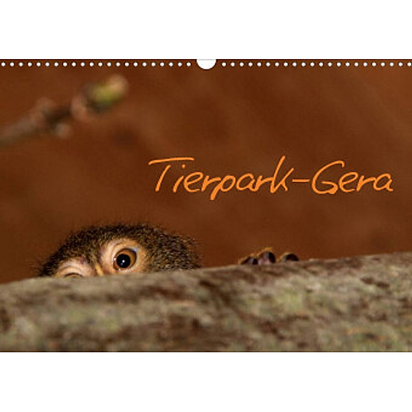 Tierpark-Gera (Wandkalender 2022 DIN A3 quer), Dieter Elstner