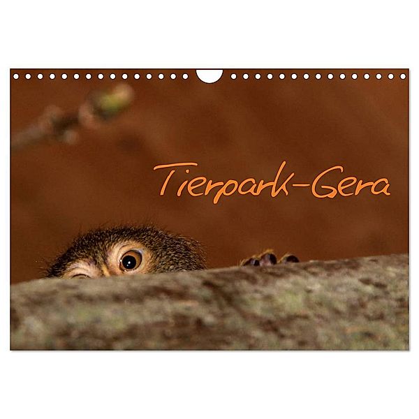 Tierpark-Gera (Wandkalender 2024 DIN A4 quer), CALVENDO Monatskalender, Dieter Elstner