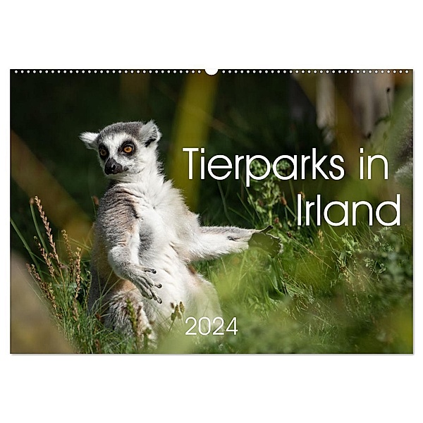 Tierparks in Irland (Wandkalender 2024 DIN A2 quer), CALVENDO Monatskalender, Markus Helfferich