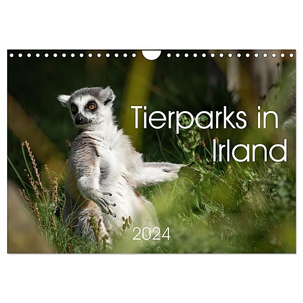 Tierparks in Irland (Wandkalender 2024 DIN A4 quer), CALVENDO Monatskalender, Markus Helfferich