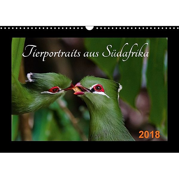 Tierportraits aus Südafrika (Wandkalender 2018 DIN A3 quer), Tanja Heinz