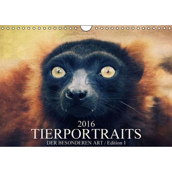 Tierportraits der besonderen Art / Edition 1 (Wandkalender 2016 DIN A4 quer), Angela Dölling