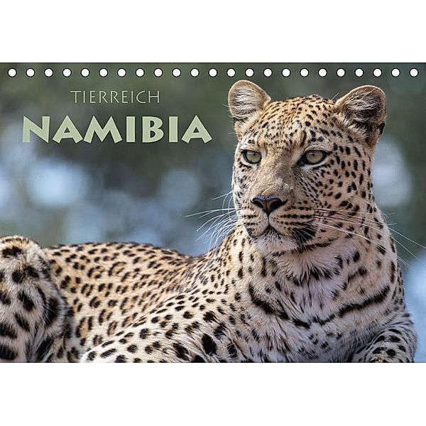 Tierreich Namibia (Tischkalender 2020 DIN A5 quer), Stephan Peyer