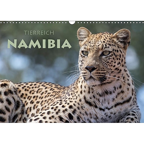 Tierreich Namibia (Wandkalender 2017 DIN A3 quer), Stephan Peyer