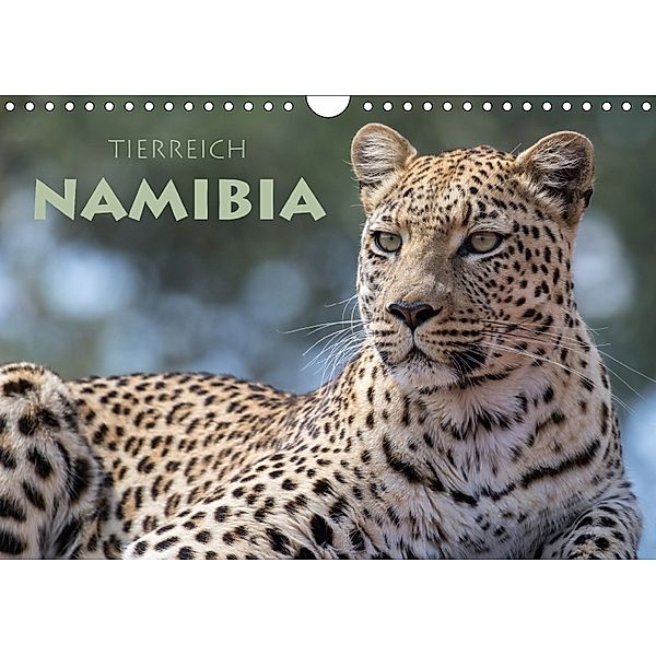 Tierreich Namibia (Wandkalender 2018 DIN A4 quer), Stephan Peyer