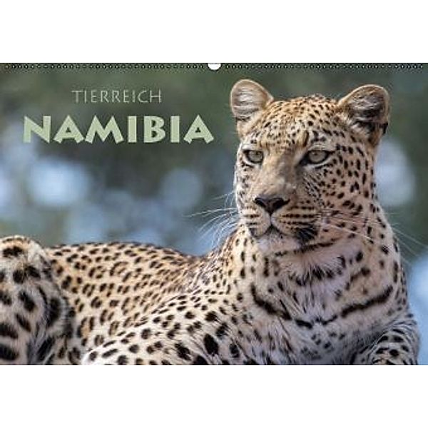 Tierreich NamibiaCH-Version (Wandkalender 2016 DIN A2 quer), Stephan Peyer