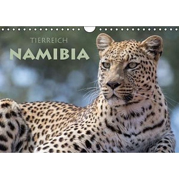 Tierreich NamibiaCH-Version (Wandkalender 2016 DIN A4 quer), Stephan Peyer