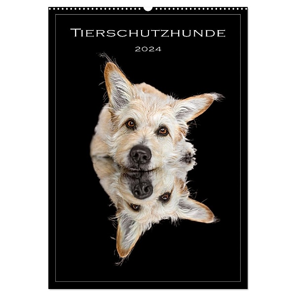 Tierschutzhunde (Wandkalender 2024 DIN A2 hoch), CALVENDO Monatskalender, Calvendo, Bianca Clemens