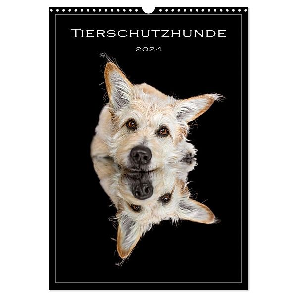 Tierschutzhunde (Wandkalender 2024 DIN A3 hoch), CALVENDO Monatskalender, Calvendo, Bianca Clemens