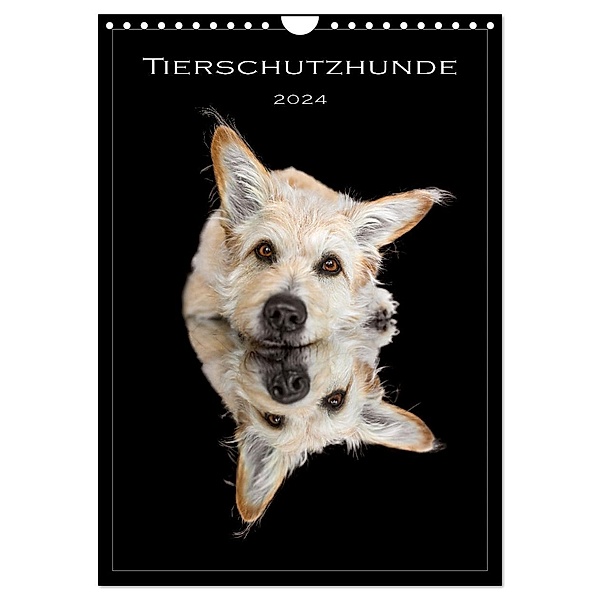 Tierschutzhunde (Wandkalender 2024 DIN A4 hoch), CALVENDO Monatskalender, Calvendo, Bianca Clemens