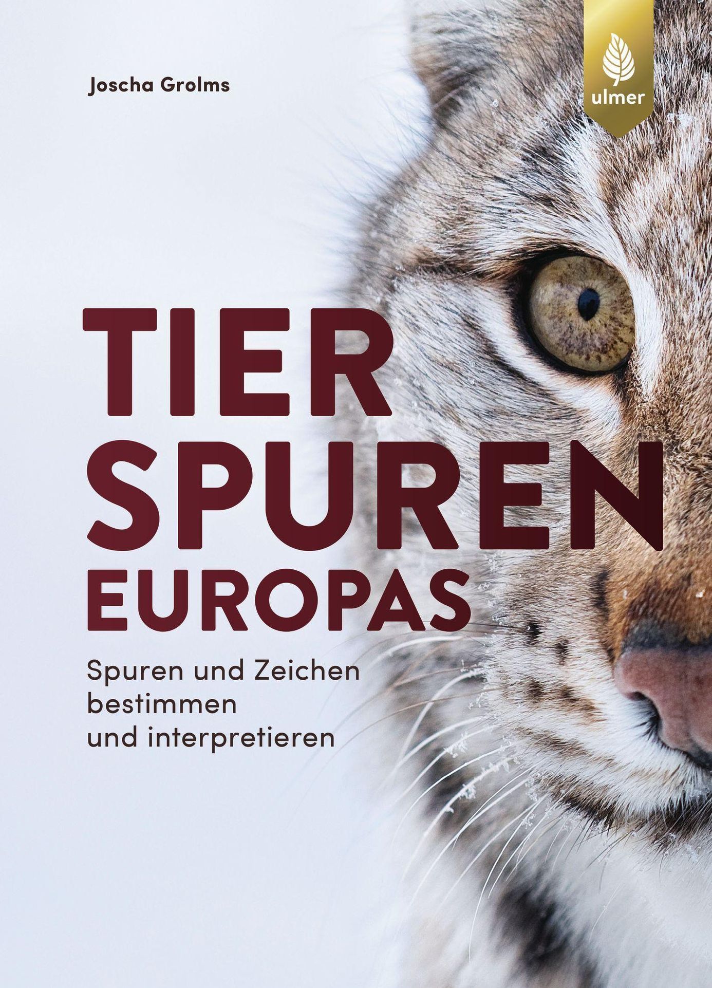 Tierspuren Europas Buch Von Joscha Grolms Versandkostenfrei Weltbild De