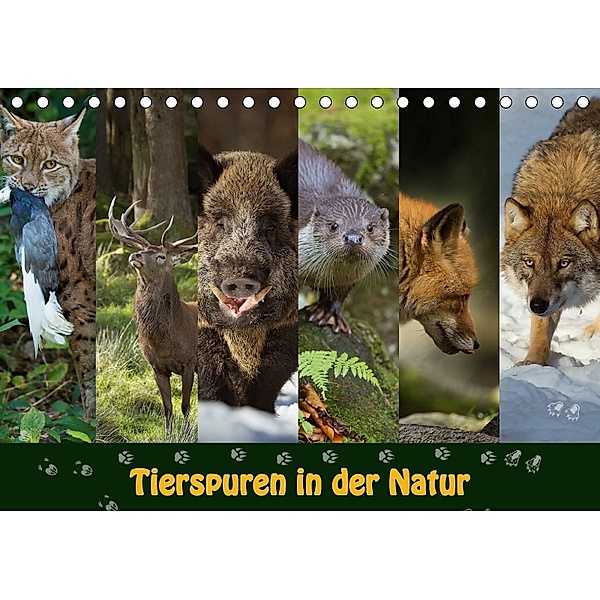 Tierspuren in der Natur (Tischkalender 2018 DIN A5 quer), Johann Schörkhuber