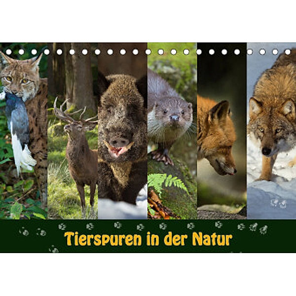 Tierspuren in der Natur (Tischkalender 2022 DIN A5 quer), Johann Schörkhuber