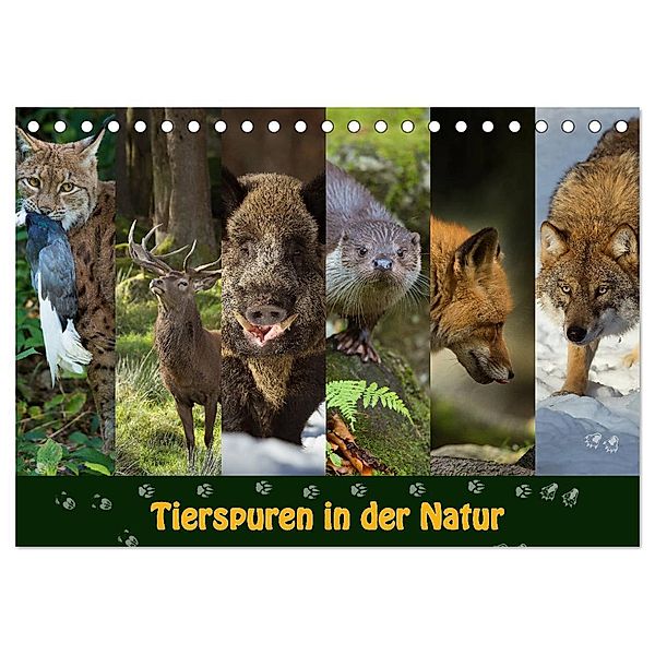 Tierspuren in der Natur (Tischkalender 2024 DIN A5 quer), CALVENDO Monatskalender, Johann Schörkhuber