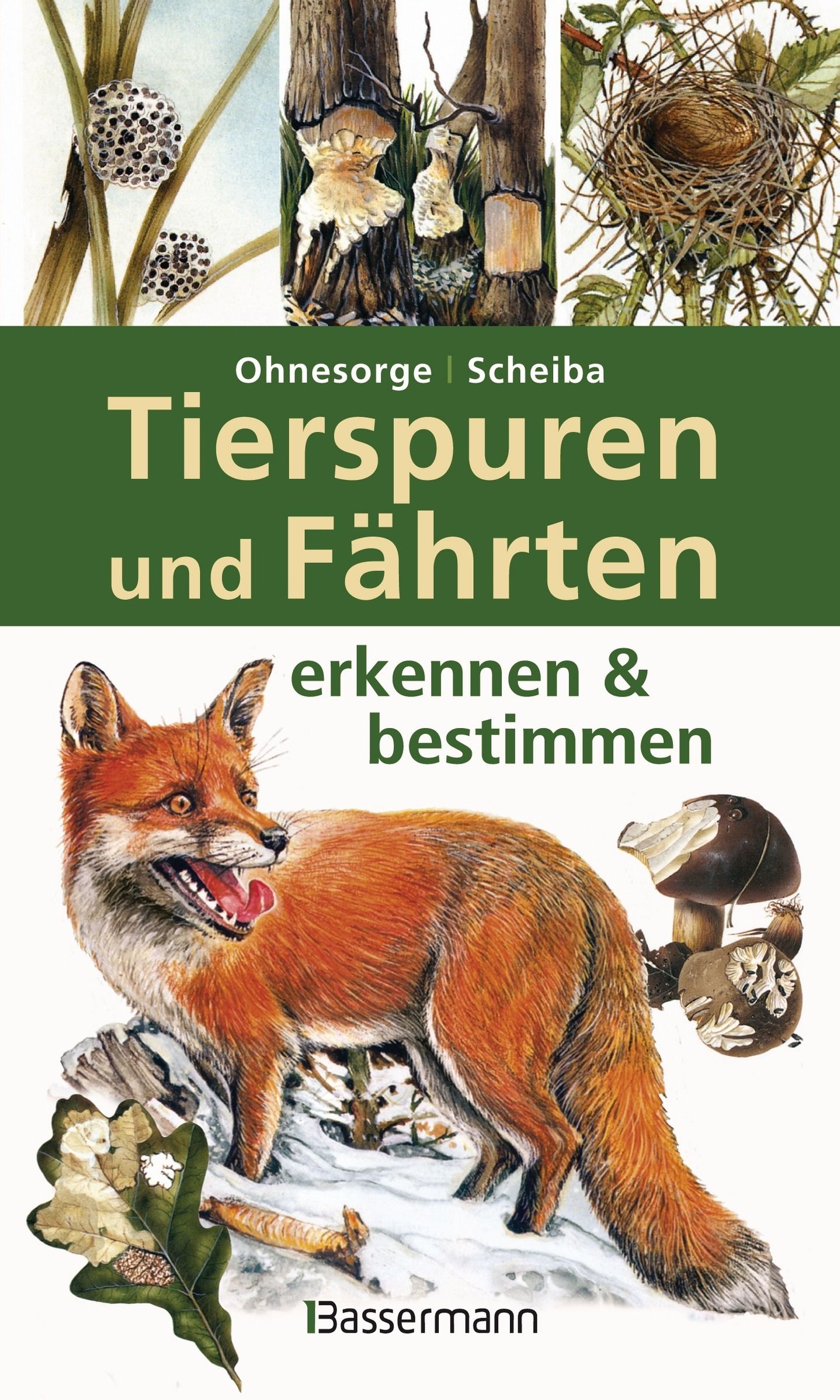 Tierspuren Und Fahrten Erkennen Bestimmen Buch Versandkostenfrei