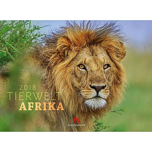 Tierwelt Afrika 2018