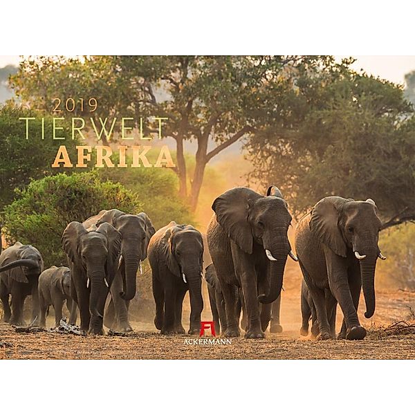 Tierwelt Afrika 2019