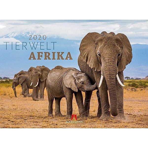 Tierwelt Afrika 2020