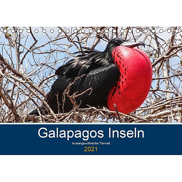 Tierwelt auf Galapagos (Tischkalender 2021 DIN A5 quer), IAM photography