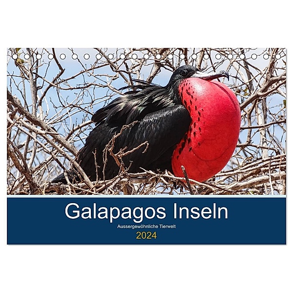 Tierwelt auf Galapagos (Tischkalender 2024 DIN A5 quer), CALVENDO Monatskalender, IAM photography