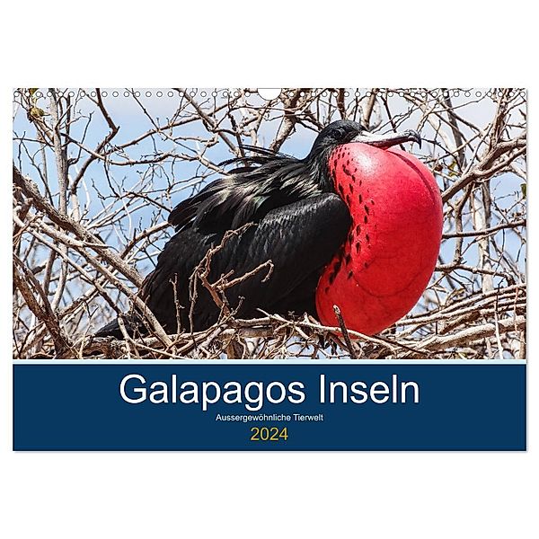 Tierwelt auf Galapagos (Wandkalender 2024 DIN A3 quer), CALVENDO Monatskalender, IAM photography