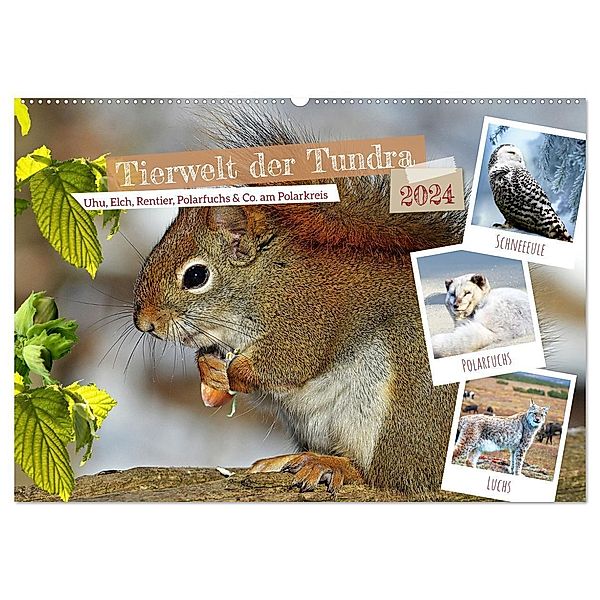 Tierwelt der Tundra (Wandkalender 2024 DIN A2 quer), CALVENDO Monatskalender, Claudia Kleemann