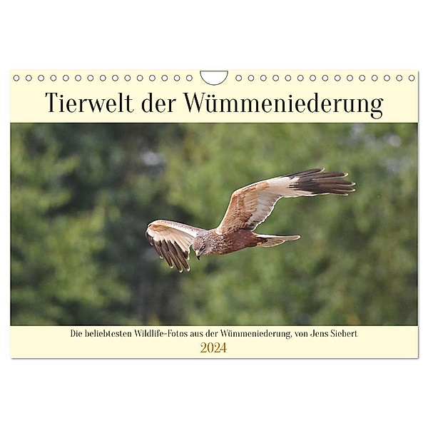Tierwelt der Wümmeniederung (Wandkalender 2024 DIN A4 quer), CALVENDO Monatskalender, Jens Siebert