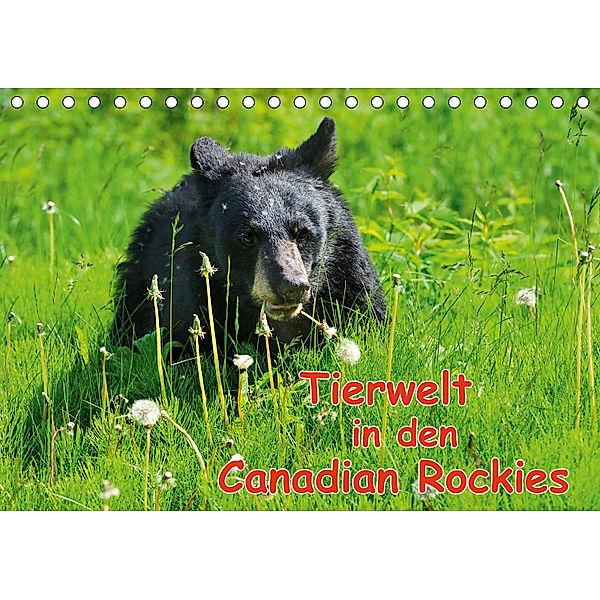 Tierwelt in den Canadian Rockies (Tischkalender 2019 DIN A5 quer), Dieter-M. Wilczek