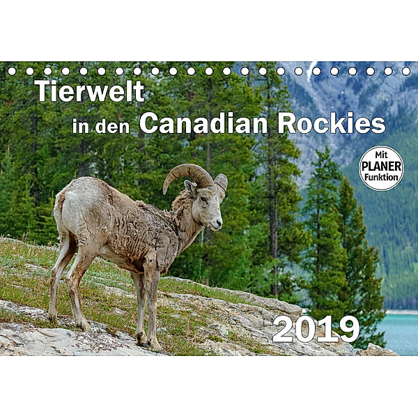 Tierwelt in den Canadian Rockies (Tischkalender 2019 DIN A5 quer), Dieter-M. Wilczek