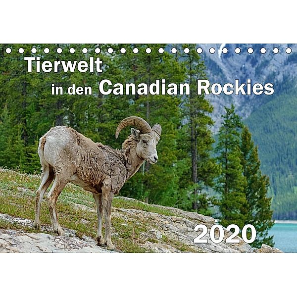 Tierwelt in den Canadian Rockies (Tischkalender 2020 DIN A5 quer), Dieter-M. Wilczek