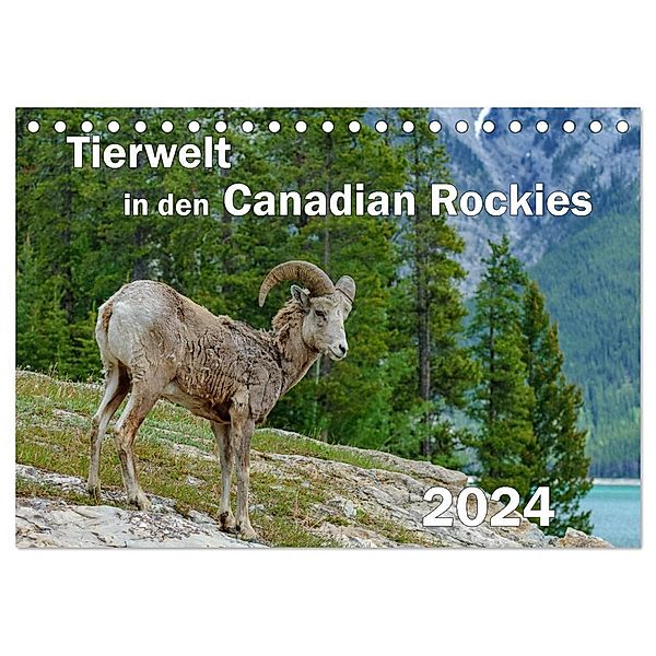 Tierwelt in den Canadian Rockies (Tischkalender 2024 DIN A5 quer), CALVENDO Monatskalender, Dieter-M. Wilczek