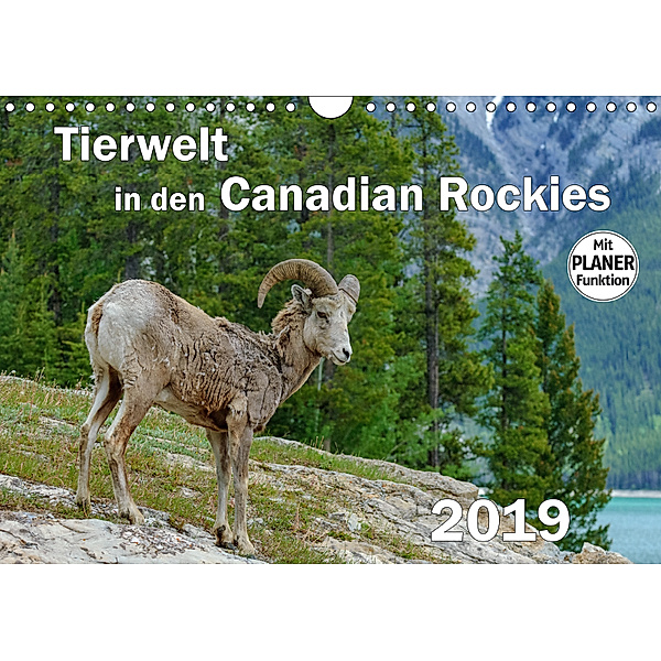 Tierwelt in den Canadian Rockies (Wandkalender 2019 DIN A4 quer), Dieter-M. Wilczek