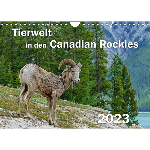 Tierwelt in den Canadian Rockies (Wandkalender 2023 DIN A4 quer), Dieter-M. Wilczek