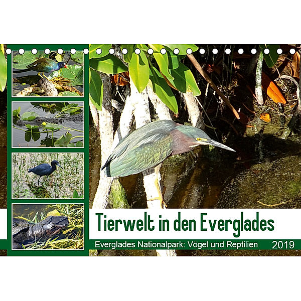 Tierwelt in den Everglades (Tischkalender 2019 DIN A5 quer), Travelinspired. de