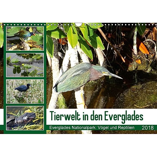 Tierwelt in den Everglades (Wandkalender 2018 DIN A3 quer), Travelinspired.de